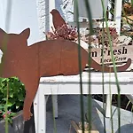 Ferienhaus Happywild Schlangenbad