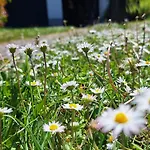Ferienhaus Happywild *