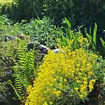 Happywild Ferienhaus Schlangenbad