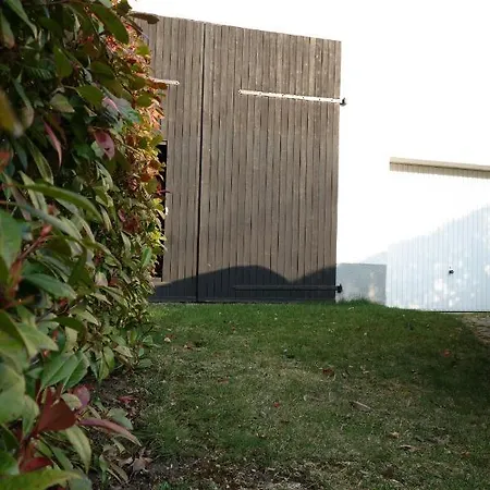 Hinterlandswald Schlangenbad