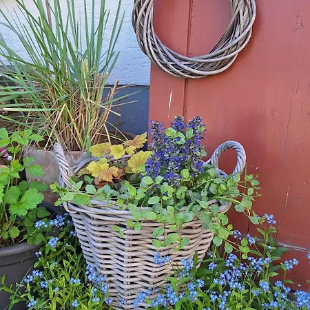 Hinterlandswald * Schlangenbad