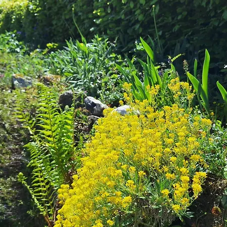 Hinterlandswald Tatil Evi Schlangenbad