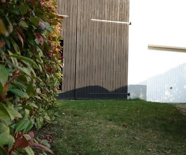 Hinterlandswald Schlangenbad