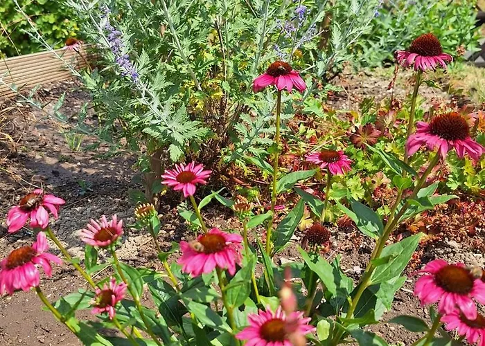 Hinterlandswald Σπίτι διακοπών *