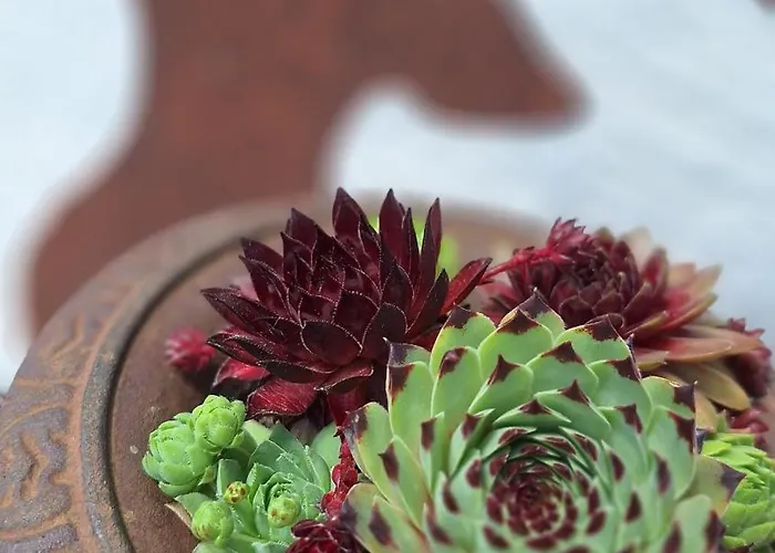 Casa vacanze Hinterlandswald *