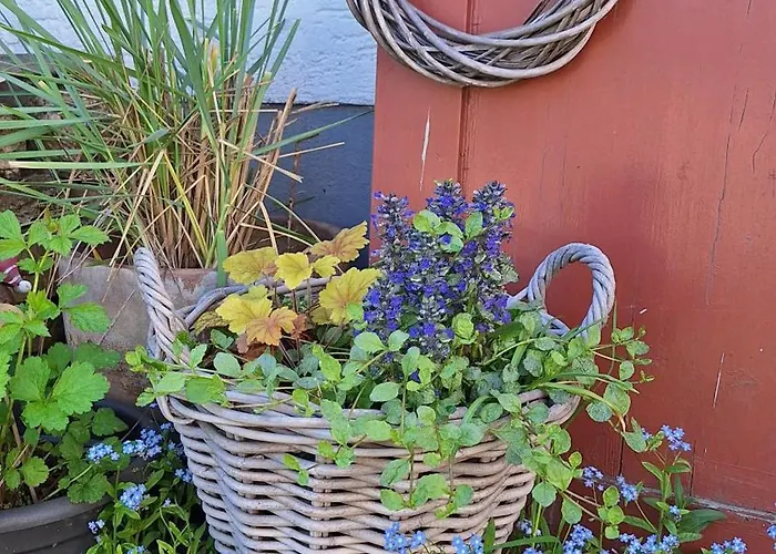 Hinterlandswald * Schlangenbad