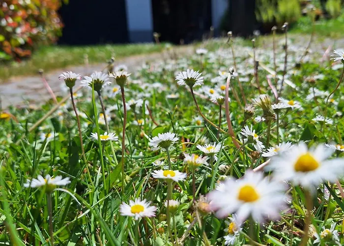 Casa vacanze Hinterlandswald *