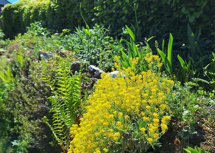 Hinterlandswald Casa vacanze Schlangenbad